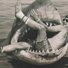 <em>Jaws</em> Turns 37 Today: Some Fun Facts About America's First Summer Blockbuster